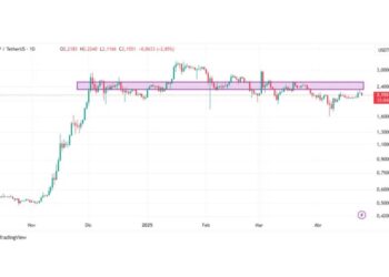 NFT REVIEW NEWS el mercado espera un movimiento decisivo – Bitnovo Blog