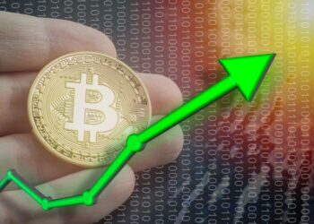 NFT REVIEW NEWS ¿Qué ven los fondos en Bitcoin? El rally que nadie esperaba – Bitnovo Blog