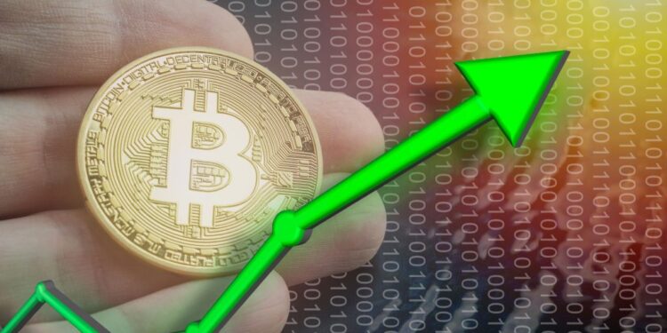 NFT REVIEW NEWS ¿Qué ven los fondos en Bitcoin? El rally que nadie esperaba – Bitnovo Blog