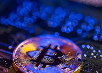 NFT REVIEW NEWS ¿Por qué Bitcoin sube mientras el mercado aún duda? – Bitnovo Blog