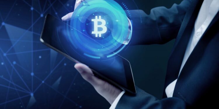 NFT REVIEW NEWS los holders de Bitcoin (BTC) celebran – Bitnovo Blog