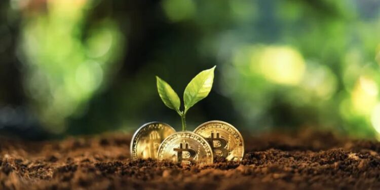 NFT REVIEW Renewable Blockchain Protocols Cutting NFT Carbon Impact