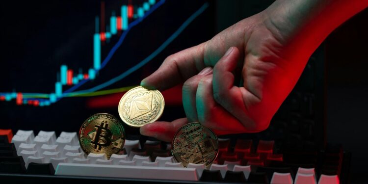 NFT REVIEW NEWS Guía completa para novatos – Bitnovo Blog