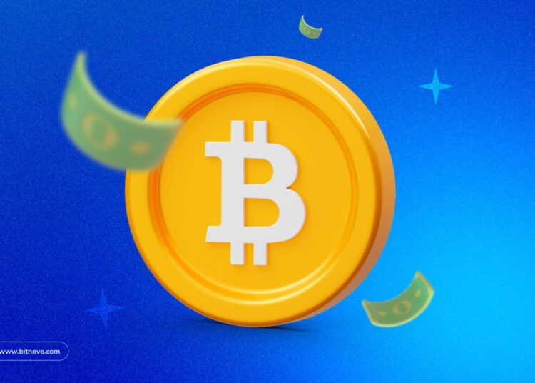 NFT REVIEW NEWS ¿Se puede comprar Bitcoin (BTC) en efectivo? Sí, con Bitnovo – Bitnovo Blog