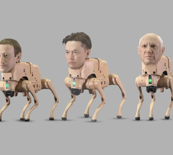 NFT REVIEW Regular Animals by Beeple – AI Robot Dogs, NFT Outputs & Tech Culture Satire