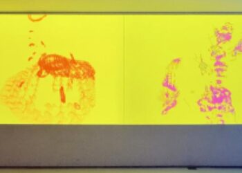 NFT REVIEW Tezos Records Over 500,000 NFT Sales as Art Ecosystem Expands in 2025