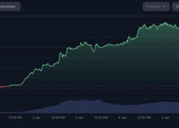 NFT REVIEW Memecoin Resurgence and Altcoin Outperformance in Early 2026