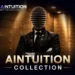 NFT REVIEW The AIntuition Collection Shows How NFTs Can Unlock Real Opportunities