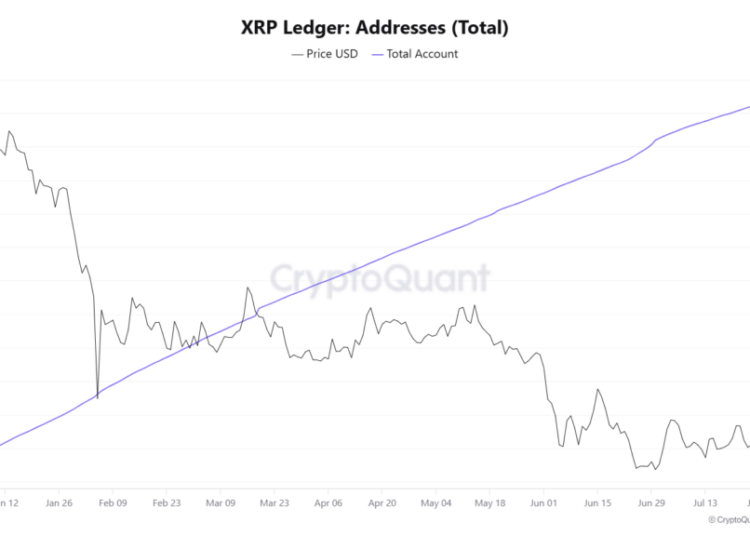 My Crypto Lawyer Sec News XRP Ledger adoption accelerates as Ripple receives full EU MiCA license